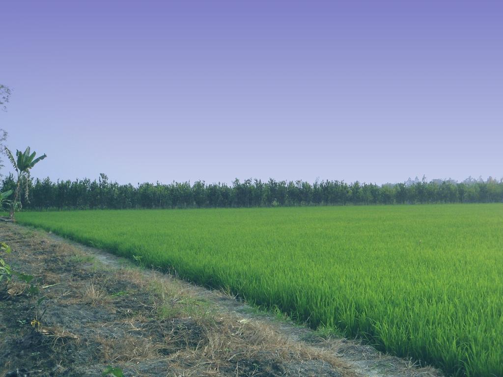 Green Village 1 Can Tho Dış mekan fotoğraf